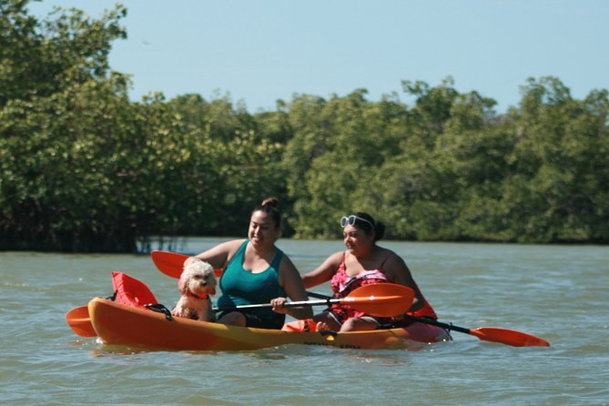 Nauti Exposures - Guided Kayak Tour Through the Mangroves - Meeting and Safety