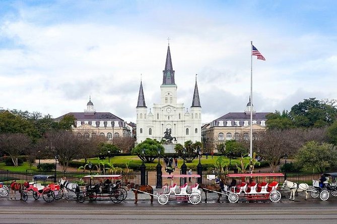 New Orleans Private Tour With a True Native Guide - Customer Reviews and Recommendations
