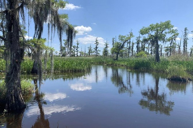 New Orleans Small-Group Airboat Swamp Tour - Guide Experience