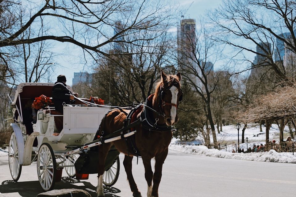 New York: Central Park - Guided Walking Tour - Booking Information