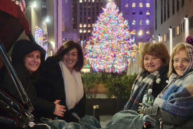 New York City Christmas Lights Private Horse Carriage Ride - Cancellation Policy and Refunds