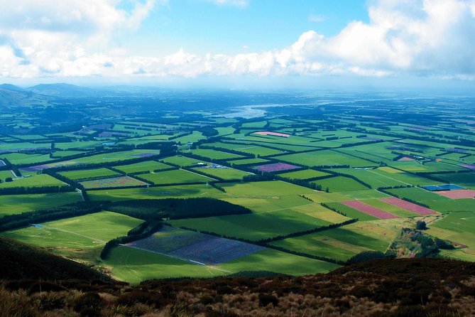 New Zealand Farm & Scenic Day Tour From Christchurch - Pickup Details and Locations