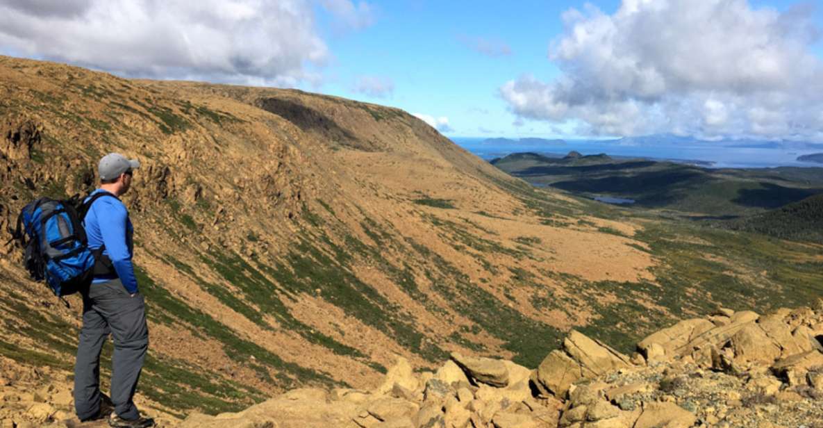 Newfoundland: Blow Me Down Mountains Half Day Hiking Tour - What to Bring