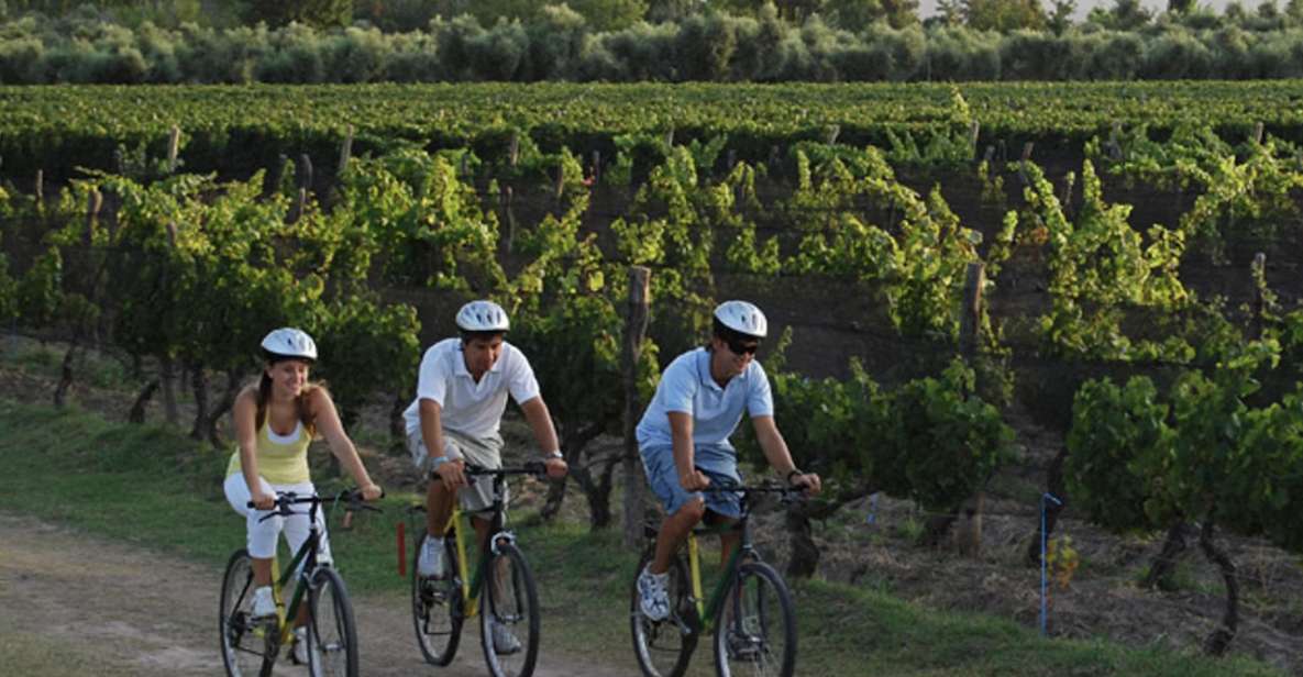 Niagara-On-The-Lake: Bicycle Tour With Wine Tasting - Experience Highlights