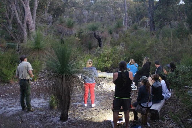 Nocturnal Wildlife Tour From Busselton or Dunsborough - Wildlife Spotting Opportunities