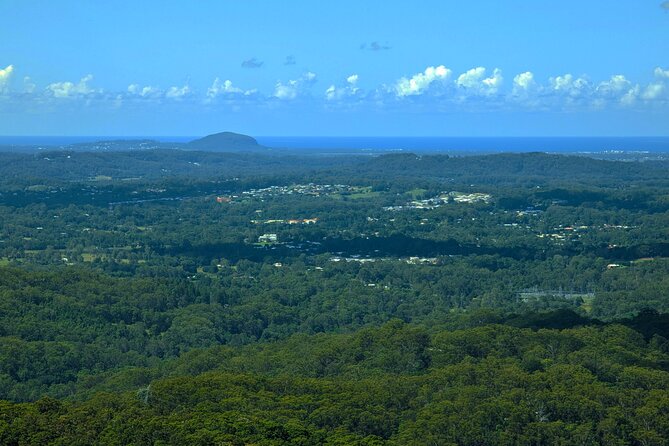 Noosa, Aussie Animals & Glass House Mountains From Brisbane - Inclusions and Exclusions