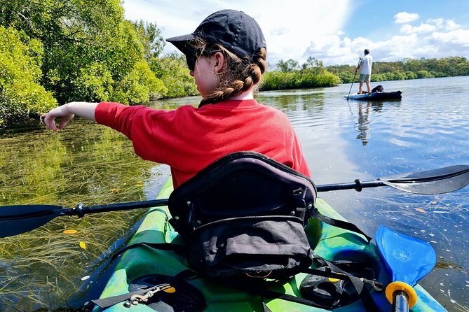 Noosa Everglade Kayak -South/Noosa End - Searching for Stingrays! - Tour Information