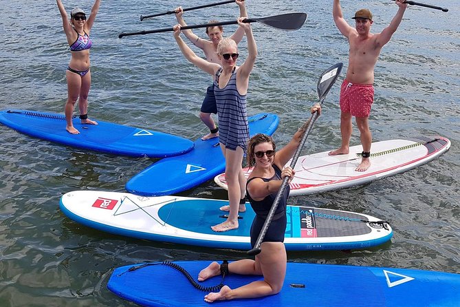 Noosa Stand Up Paddle Group Lesson - Scenic Noosa River Exploration