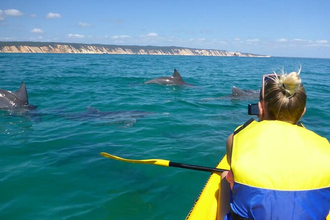 Noosa to Double Island Point Kayaking With Dolphins Day Trip  - Noosa & Sunshine Coast - Logistics