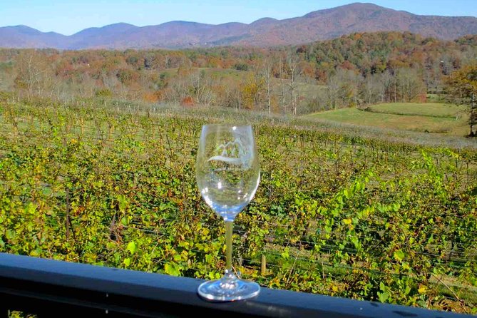 North Georgia Wine Country Tour From Atlanta - Whats Included