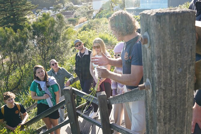 Northern Beaches Surf and Indigenous Guided Tour - Indigenous Cultural Experience