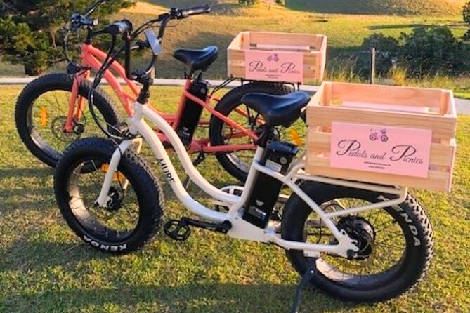 Northern Rivers Rail Trail Ebike and DIY Picnic Hire Full Day - Accessibility and Amenities Details