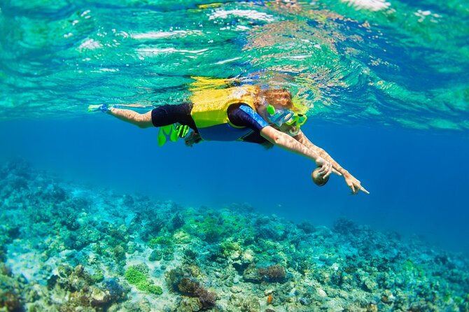 Nusa Lembongan Island: Snorkeling & Mangrove Forest Day Tour - Booking Information