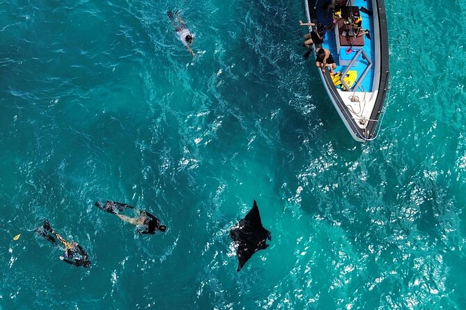 Nusa Penida: Unforgettable Snorkeling Adventure With 4 Spots - Transportation to Snorkeling Spots