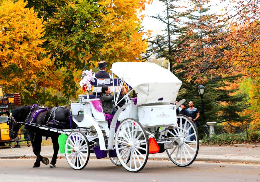 NYC: Central Park Horse-Drawn Carriage Ride (up to 4 Adults) - Activity Highlights