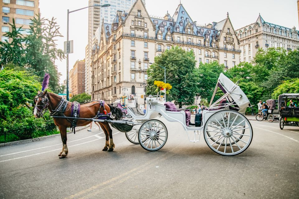 NYC: Guided Central Park Horse Carriage Ride - Additional Details