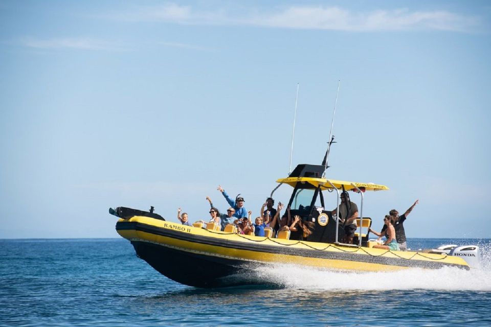 Oahu: North Shore Haleʻiwa: Private Boat Charter - Experience Highlights