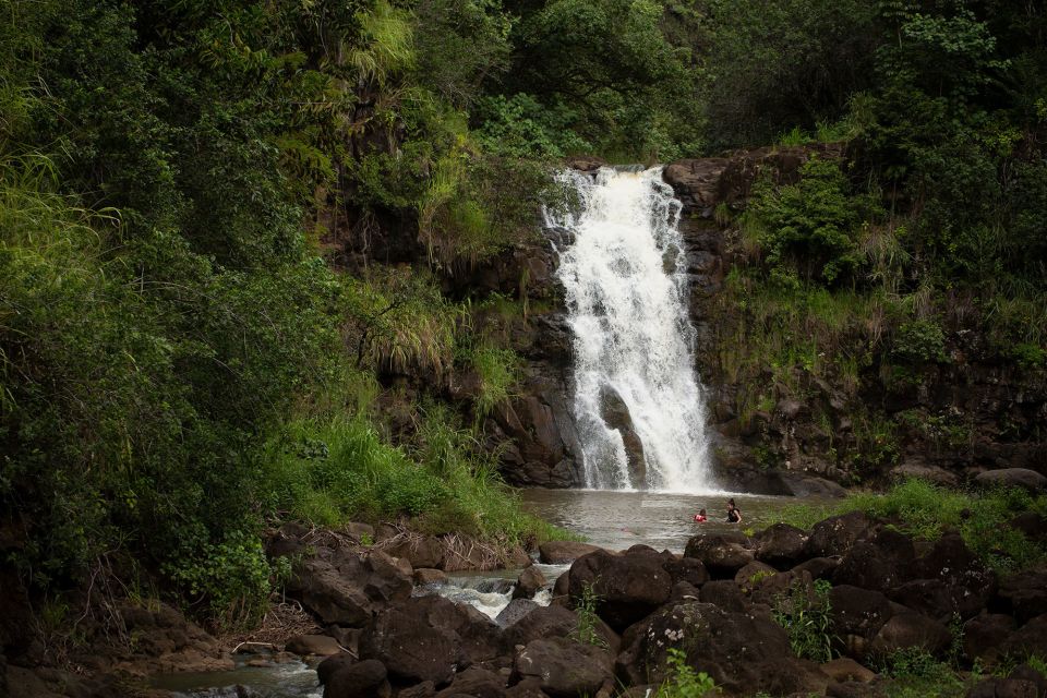 Oahu: North Shore Waterfall Swim - Explore North Shore Surfing Highlights