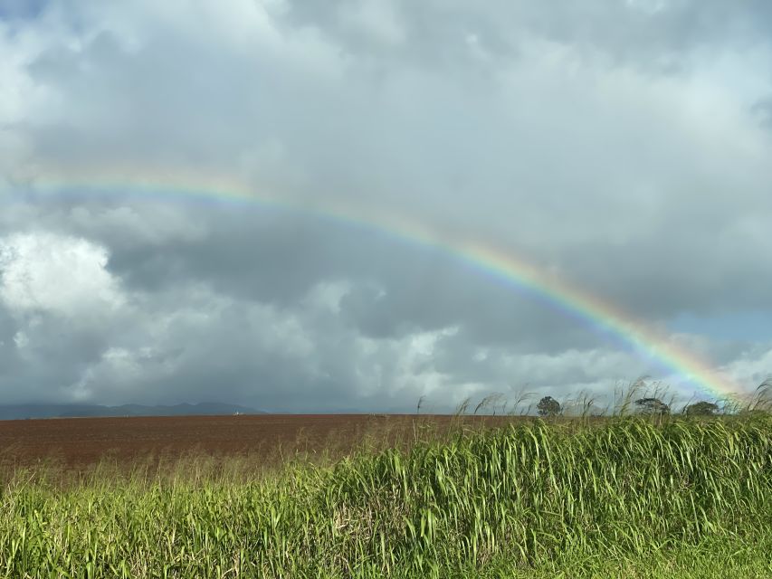 Oahu: Private Full-Day Foodie & Sightseeing Tour - Experience Highlights