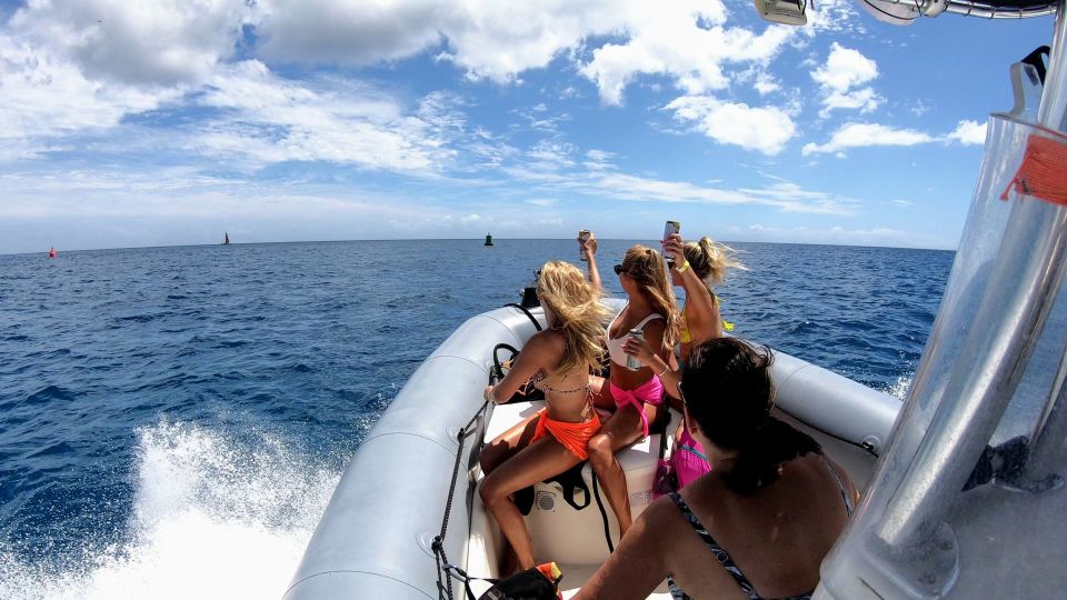 Oahu: Private Whale Watching Adventure - Experience Details