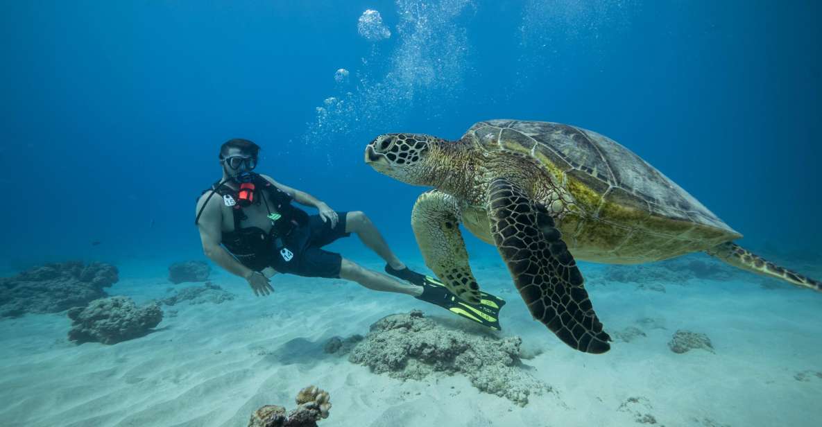 Oahu: Waikiki Discovery Scuba Diving for Beginners - Experience Highlights