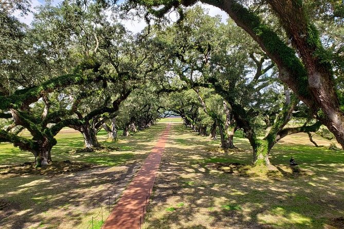 Oak Alley and Laura Plantation Tour With Transportation From New Orleans - Common questions