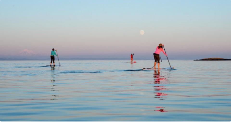 Oak Bay: Full Moon Paddle Experience - Inclusions