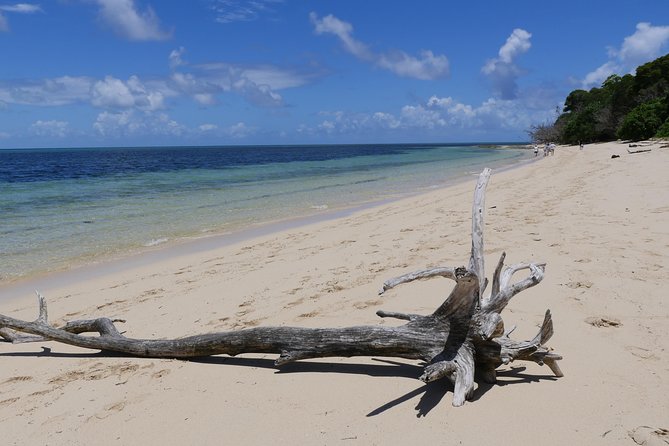 Ocean Free Green Island and Great Barrier Reef Snorkel Cruise - Booking Information