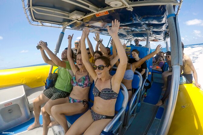 Ocean Safari Great Barrier Reef Experience in Cape Tribulation - Customer Reviews and Recommendations
