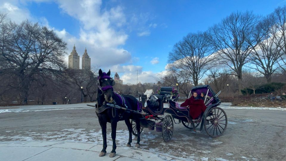 Official VIP Whole Central Park Horse Carriage Tour - Experience Highlights
