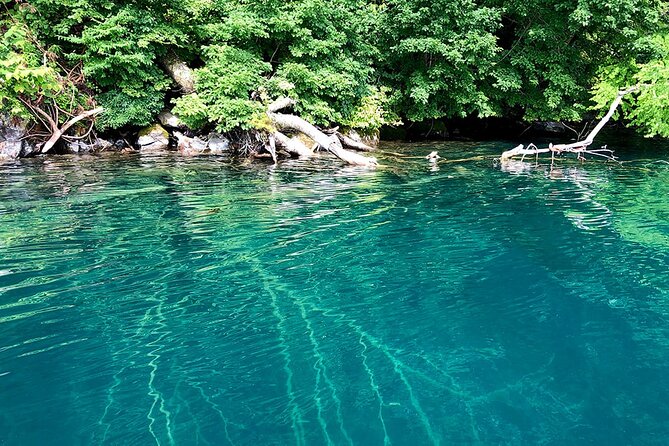 Oirase Gorge and Lake Towada Day Hike With Government-Licensed Guide - Essential Gear and What to Pack