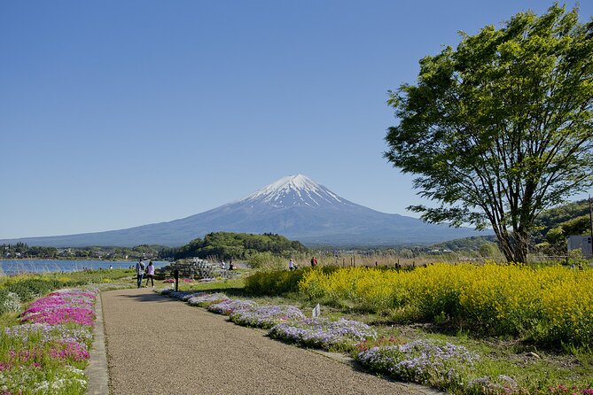 One Day Private Tour of Mt Fuji With English Speaking Driver - Cancellation Policy Overview