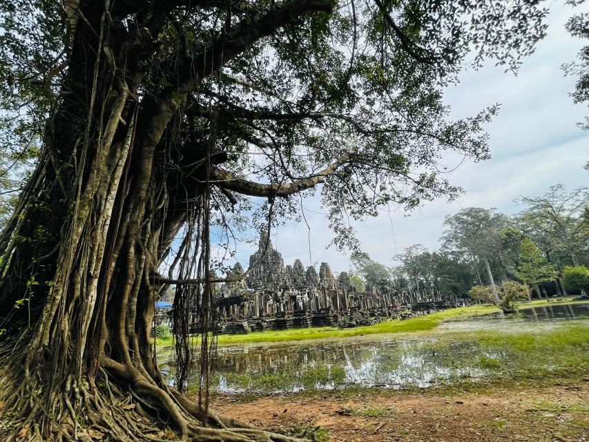 One-Day Small Circuit Tour: Angkor Wat, Bayon, Ta Prohm - Highlights and Description