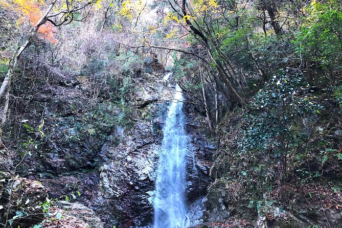 One Day Tour of Tokyos Plentiful Nature in Hinohara Village - Nature Walks and Hiking Trails