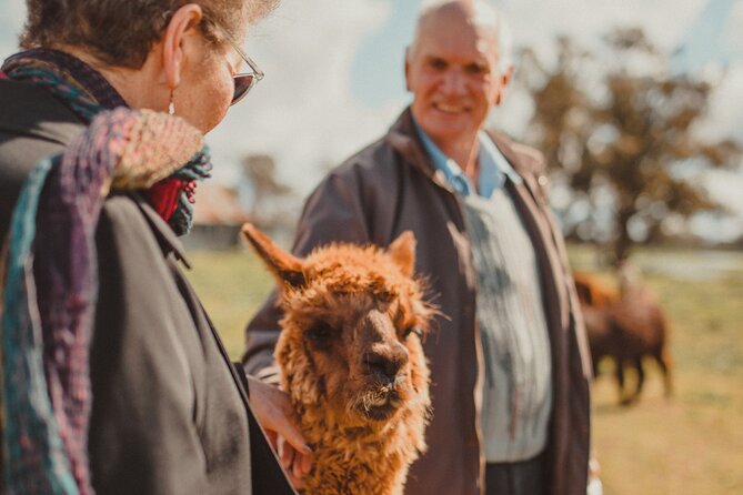 One-Hour Alpaca Meet-and-Greet on a Working Farm, Tomingley  - New South Wales - Inclusions and Policies