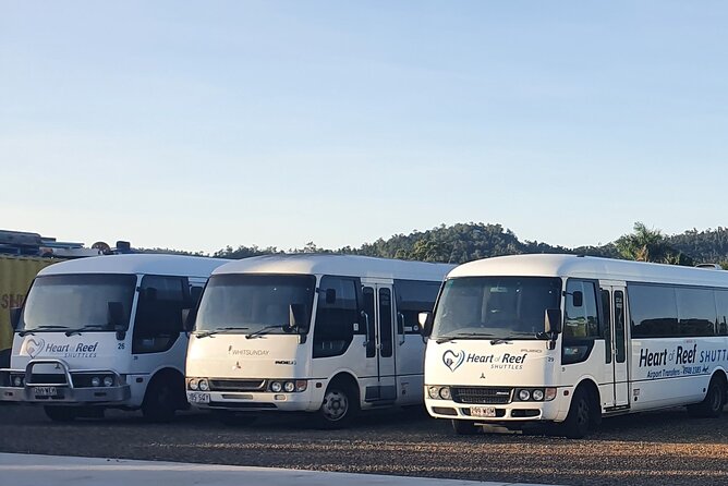 One-Way Shared Airport Transfer to Airlie Beach - Traveler Experience