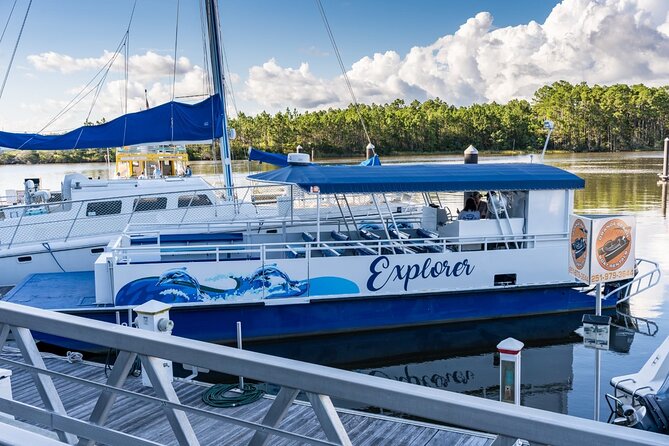 Orange Beach Dolphin Eco Boat Tour - Booking Information