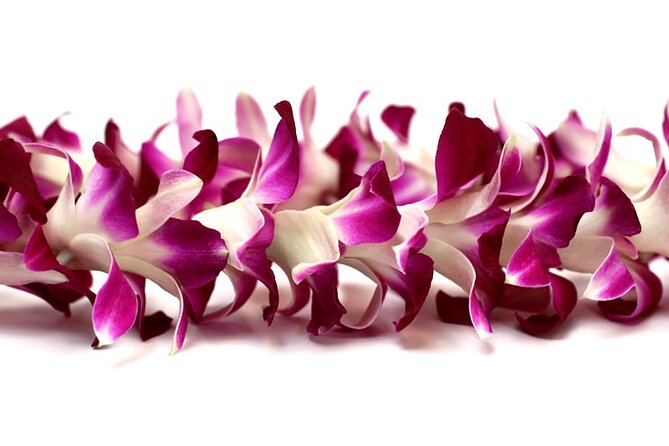 Orchid Airport Lei Greeting (Maui, Kahului Airport, OGG) - Pricing and Inclusions