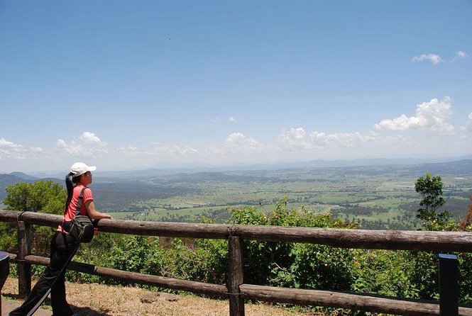 Oreillys & Lamington National Park From Gold Coast - Booking Information