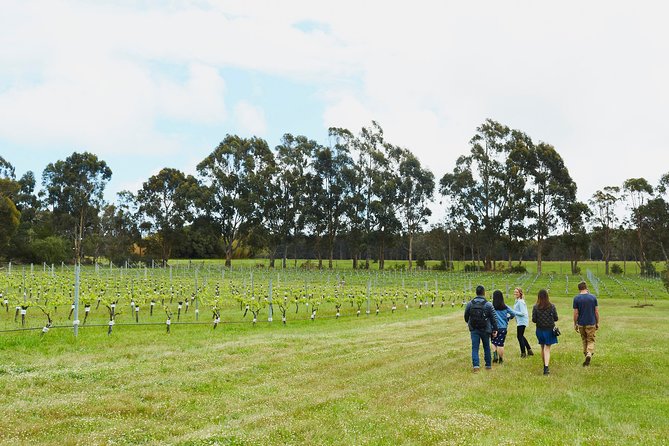 Organic Vineyard/Farm Tour - Highlights of the Tour