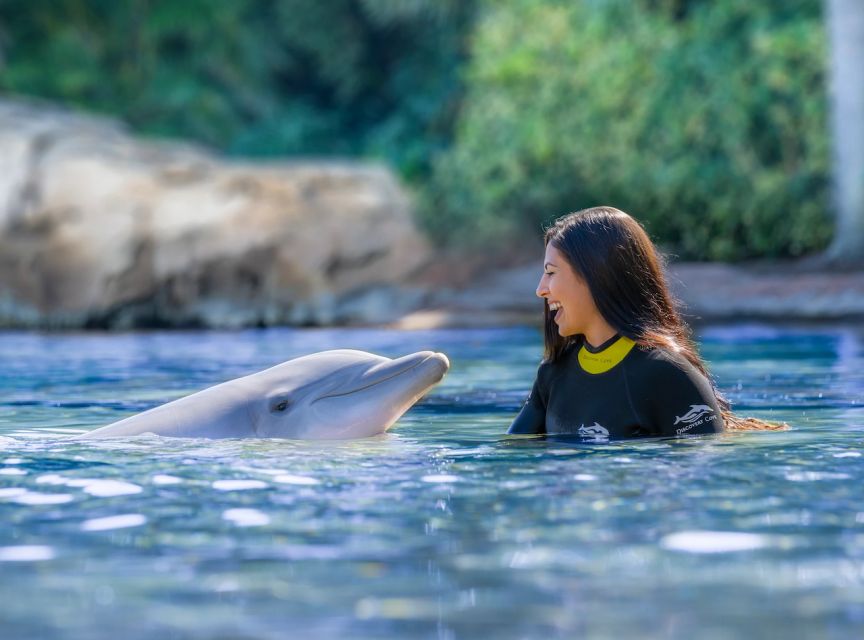 Orlando: Discovery Cove Admission Ticket & Additional Parks - Customer Reviews
