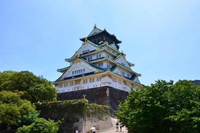 Osaka Private Tour by Public Transportation From Kyoto - Booking and Pricing Details
