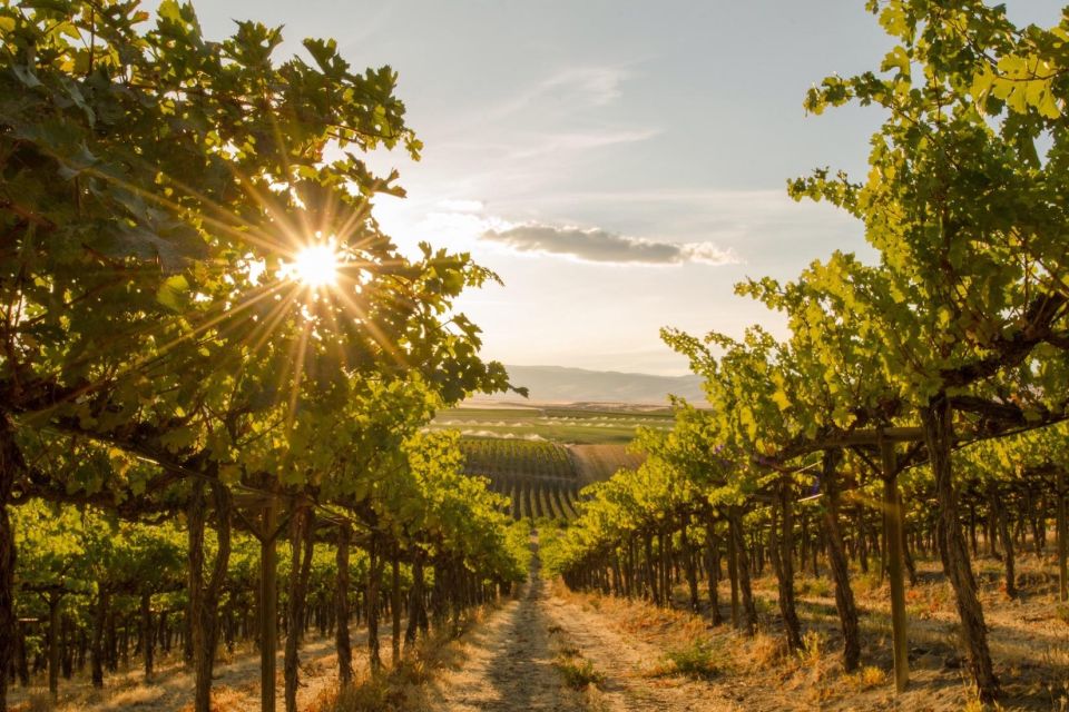 Osoyoos: Osoyoos Full Day Guided Wine Tour - Tour Itinerary