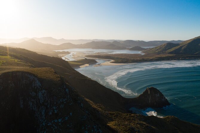 Otago Peninsula In-Depth Tour & Blue Penguins Pukekura Experience - Cancellation Policy