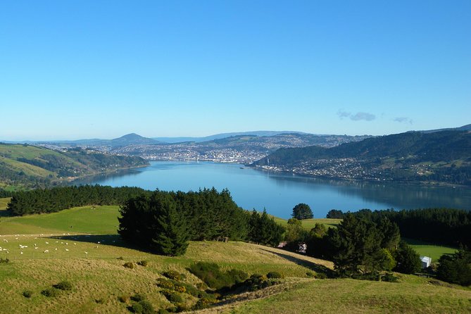 Otago Peninsula Scenery and Dunedin City Highlights Tour - Itinerary Details