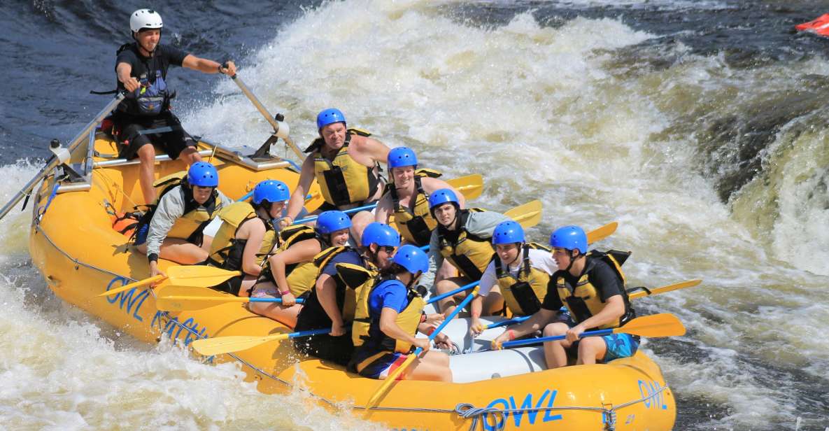 Ottawa River: White Water Rafting With BBQ Lunch - Experience Highlights