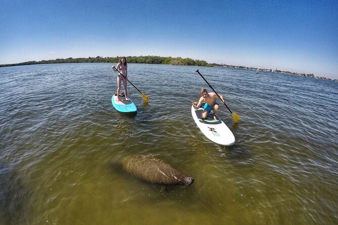 Paddle Boarding Eco Adventure Tour Jupiter Florida - Singer Island - Important Tour Information