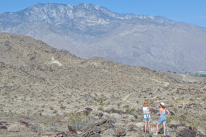Palm Springs Hike to an Oasis and Amazing Desert Views - Expectations and Cancellation Policy
