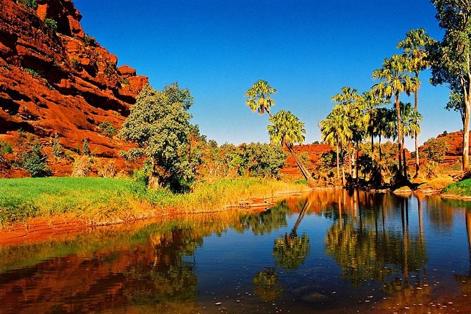 Palm Valley 4WD Day Tour - Cancellation Policy and Requirements