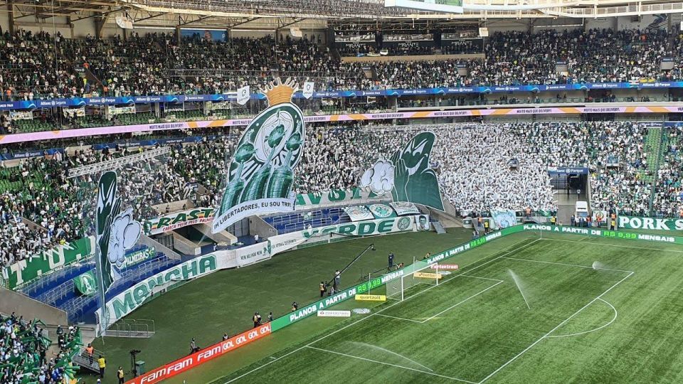 Palmeiras Game Experience in Allianz Parque - Local Host Guided Experience